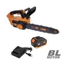 Акумуляторна ланцюгова пила Техас TAOE-S12L + АКБ 4Аг B410P + ЗП C2  