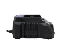 Зарядний пристрій PROFI-TEC BC20V