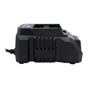 Зарядний пристрій PROFI-TEC BC20V